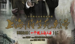 电视剧上海滩生死较量,风云变幻的江湖传奇