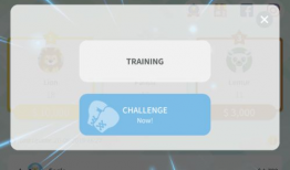 女子擂台格斗动漫,女子擂台格斗风云录