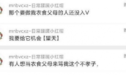 吃瓜的爆料程度怎么算,深度剖析舆论场中的八卦风云